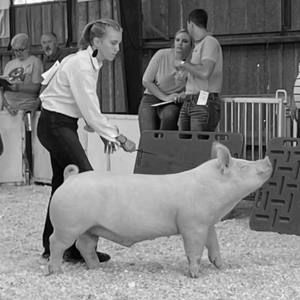 Meet your Posher, Malia